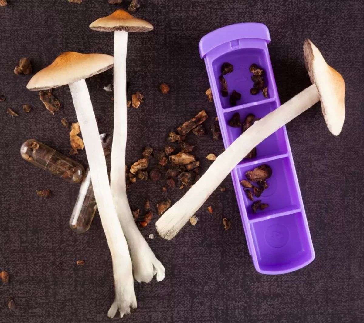 Are There Any Health Benefits to Eating Magic Mushrooms?