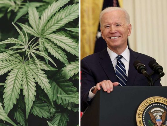 Joe Biden Can No Longer Hide From Cannabis Legalization Efforts