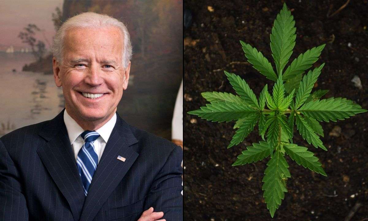 Biden Administration Can Legalize Marijuana Without Waiting For Lawmakers, Congressional Researchers Say