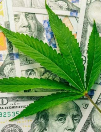 Marijuana Tech Firm Dutchie Raises 350 Million As Big Funding Deals Flourish
