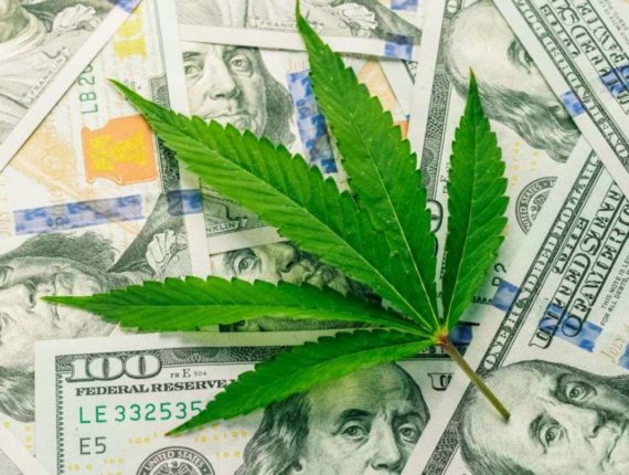Marijuana Tech Firm Dutchie Raises 350 Million As Big Funding Deals Flourish