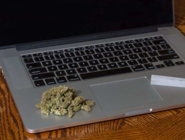 One-Third Of Programmers Use Marijuana While Working, With Many Touting Creative Benefits, Study Finds