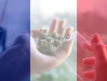 France-Enters-The-Medical-Cannabis-Industry
