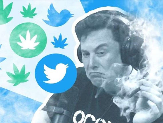 Could-Elon-Musks-Twitter-End-The-Cannabis-Social-Media-Ban