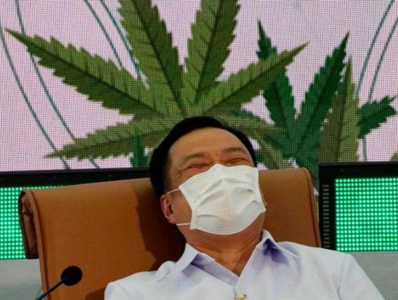 Thailand-To-Give-Away-One-Million-Free-Cannabis-Plants-To-Households-Minister-Says